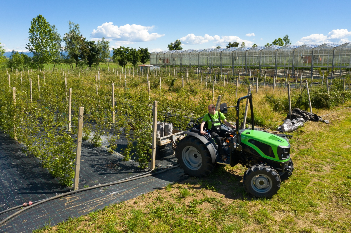 ciągnik massey ferguson przed dealerem massey ferguson - Kachniarz