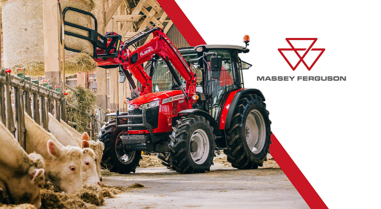 traktor massey ferguson stoi obok krów, które jedzą